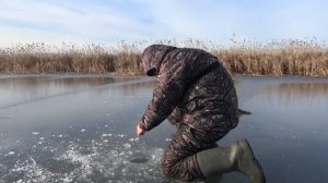 ЭТО НАДО ВИДЕТЬ!! Щука В КАЖДОЙ ЛУНКЕ, я НЕ УСПЕВАЮ БЕГАТЬ!! Рыбалка на ЖЕРЛИЦЫ по ПЕРВОМУ ЛЬДУ
