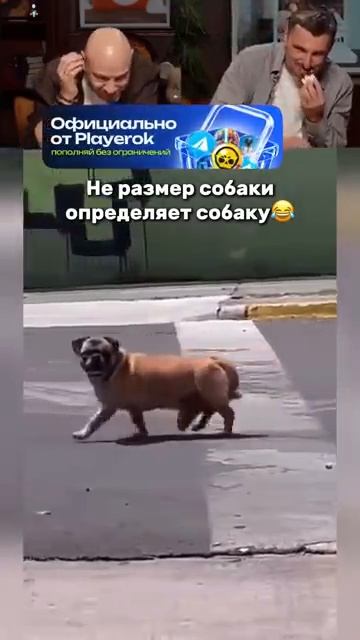 😂ВОТ ТАК ФУНТИК