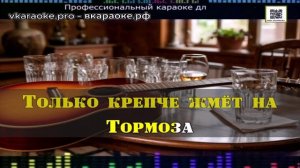 Борис Гиндин - Эх за друзей - Минус-Караоке - Создание песни - Любые треки На заказ