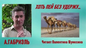А.Габриэль «Хоть пей без удержу...» Читает Валентина Шумихина.