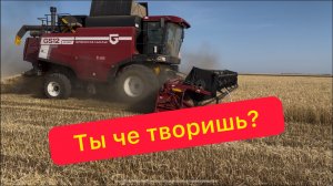 Отзыв Палессе GS 12.