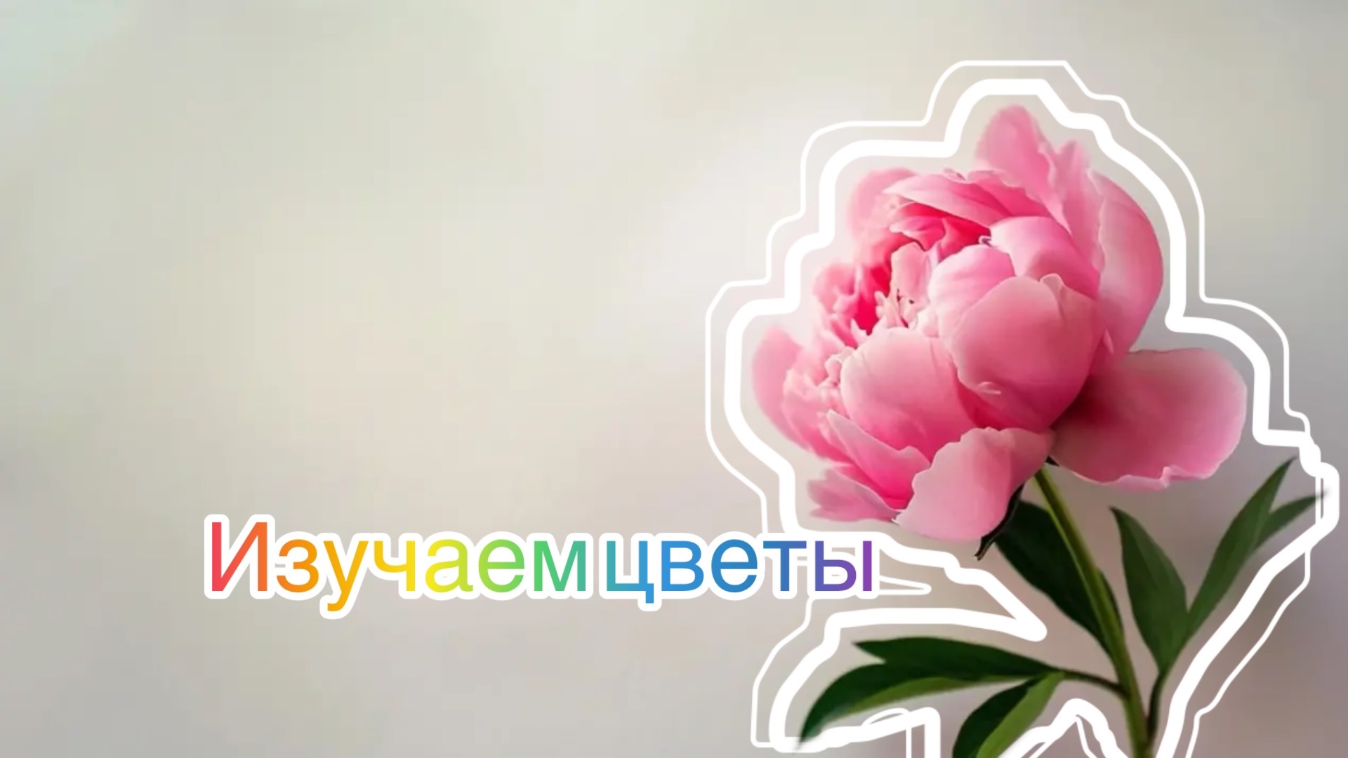 Изучаем цветы. Познавательное видео для детей