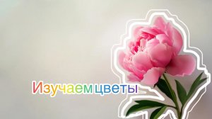 Изучаем цветы. Познавательное видео для детей