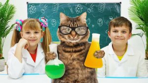 Діана та Рома потрапляють у котячу школу