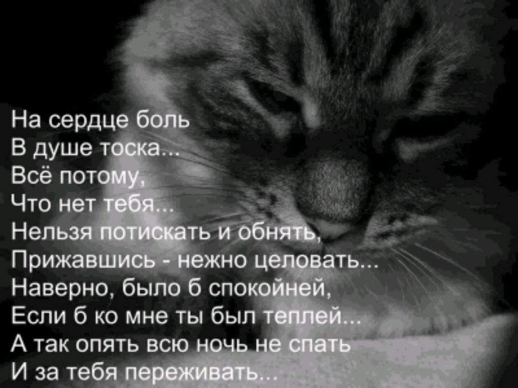 любовь