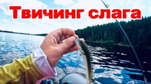 Твичинг слага. Когда воблеры не работают.