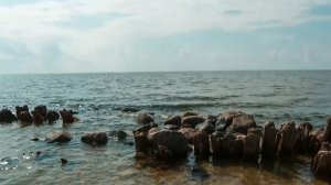 Обмеление Ладожского озера обнажило остатки «Дороги жизни»