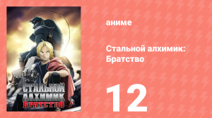 Стальной алхимик: Братство 12 серия «Всё – одно, а одно – это всё» (аниме-сериал, 2009)