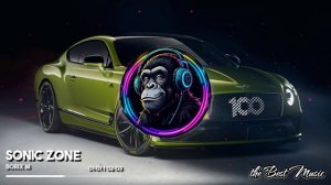 Sonic Zone - Borix M