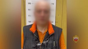 В Москве полицейские по горячим следам задержали мужчину, который толкнул ребёнка в метрополитене