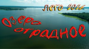 Озеро Отрадное. Лето 2026 г.