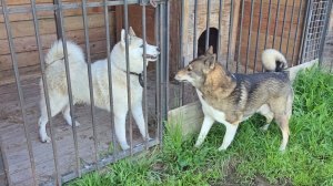 По приезду с Урала