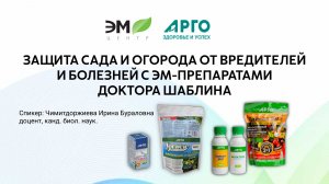 Защита сада и огорода от вредителей и болезней