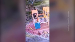 «РЕБЁНОК ПОСТРАДАЛ — ВИНОВНЫЙ НАЙДЕН»