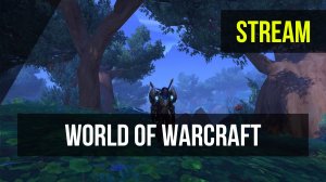 Стрим | World of Warcraft | The War Within | Воин