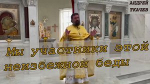 Мы участники этой неизбежной беды. Протоиерей  Андрей Ткачёв.
