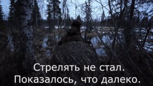 НАШЕСТВИЕ МЕДВЕДЕЙ. ОТКРЫТИЕ ОХОТЫ НА УТКУ. ЗАЧЕМ ОХОТИТЬСЯ ВЕСНОЙ НА МЕДВЕДЯ.