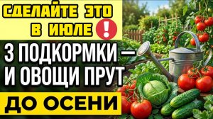 Дайте это в начале Июля - и урожай не остановить до осени!