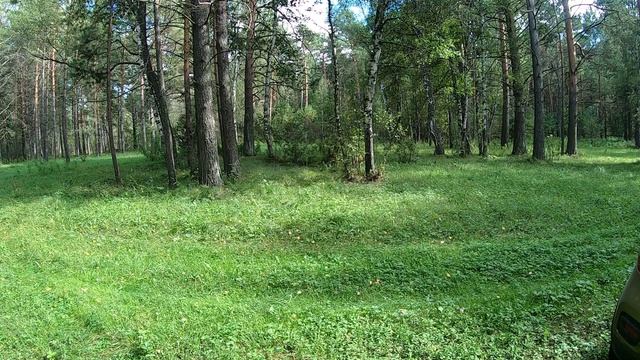 МЕДВЕДИ фыркаюта КАРАСЬ клюёт!!! Рыбалка на ПОПЛАВОКна ТАЁЖНОЙ речке. 06.08.2026 г.