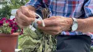 99 лет и ни дня без дела: сад ветерана Ибрагимова участвует в конкурсе «Ветеранское подворье»