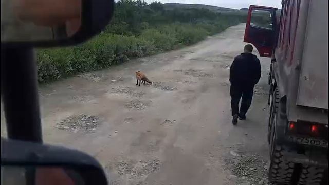 Контракт Рыбачий.
