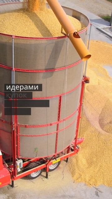 Доминирование России на рынке масленичных культур