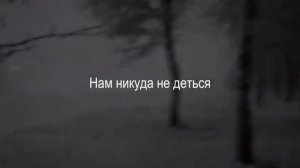 ﹥_﹤