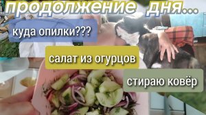 Салат из огурцов//куда опилки?//стираю ковёр