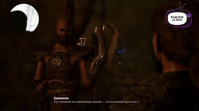 Типа ролики юного блогера
