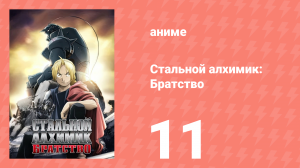 Стальной алхимик: Братство 11 серия «Чудо в Раш-велли» (аниме-сериал, 2009)