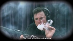 Как МАСКА в Краснодар приглосили.Choir of Russian entrepreneurs in the name of Elon Musk