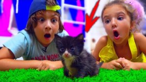 Мы открыли 16 СЕКРЕТНЫХ коробок с котятами! Нам попалась повторка?! 🤯🐈