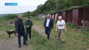 ЗАКОНЫ В СФЕРЕ ОБРАЩЕНИЯ С ЖИВОТНЫМИ ПОМОГЛИ СНИЗИТЬ ПОПУЛЯЦИЮ БЕЗДОМНЫХ СОБАК НА КАМЧАТКЕ • НОВОСТИ
