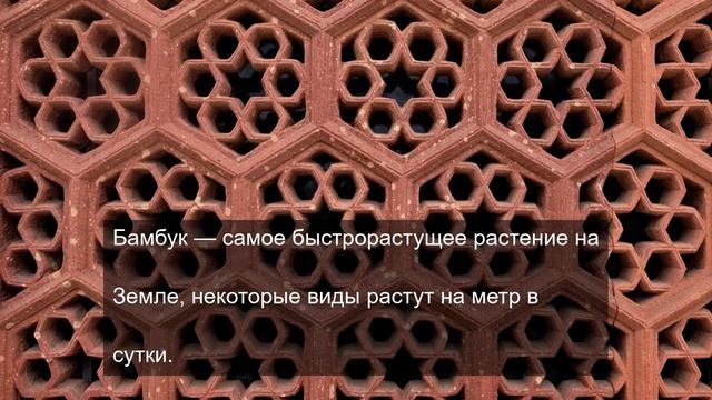сила знания о мироздании 9