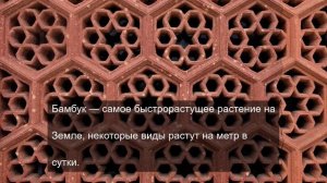 сила знания о мироздании 9