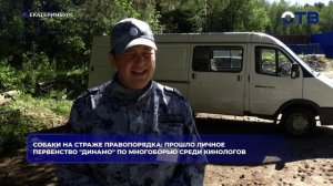 Собаки на страже правопорядка: прошло личное первенство «Динамо» по многоборью среди кинологов