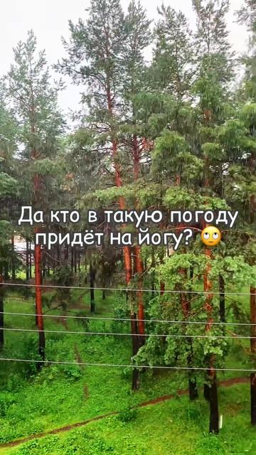 Да кто в такую погоду придёт на йогу?