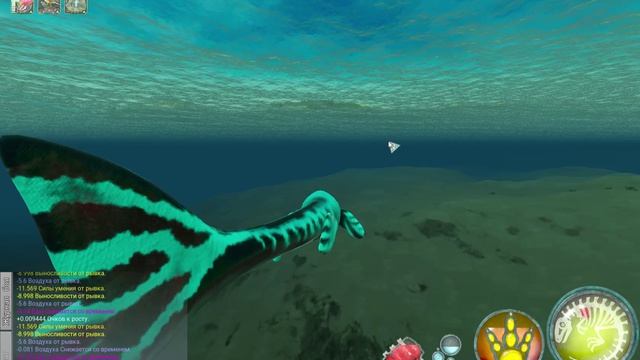 BeastsOfBermuda Development  2026-08-07 21-06-06