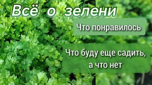 Всё о зеленушке//что понравилось, а что нет