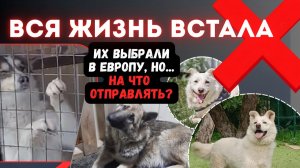 Они ждут годами… Неужели это конец