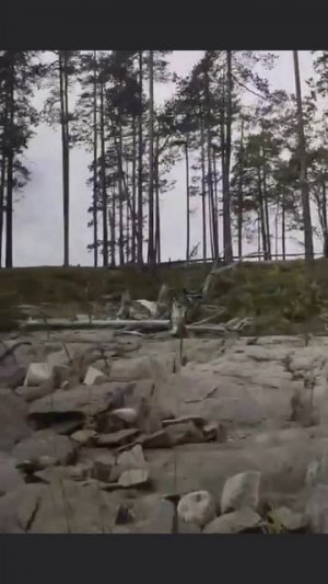 🐟 Карельская рыбалка. 🔥
🌊 оз. Сегозеро.
🎣 Спиннинг.