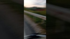 дорога домой