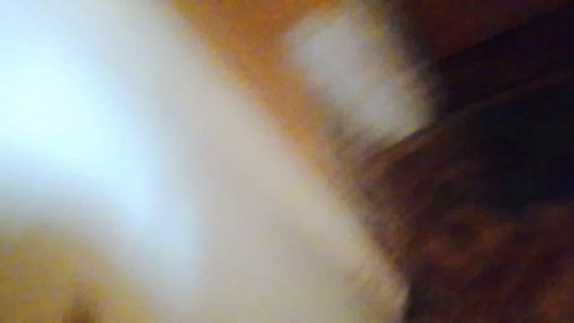 2956.mp4
