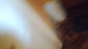 2956.mp4