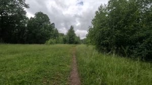 хорошо гуляю по лесу 52