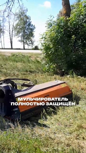 Уничтожить поросль вдоль посадок? Задача для мульчера