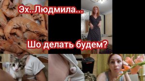 Семья из Мариуполя ШОкает.Хвост тебе в рот 🤣#мариуполь #мариупольсегодня