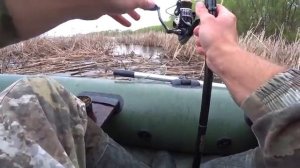 Вот это ПОРОСЁНОК КЛЮНУЛ!! Рыбалка на ПОПЛАВОК в ГУСТЫХ КАМЫШАХ!! Попал под дождь..