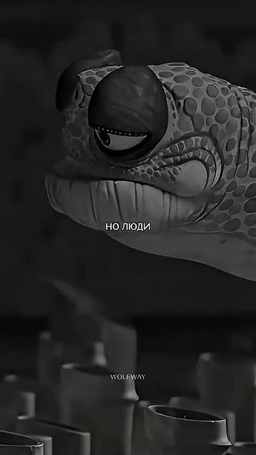 Не потеряй того кто верит в тебя #смысл#жизни#мудрыеслова
