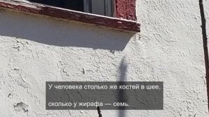 уникальный обзор реальности 9